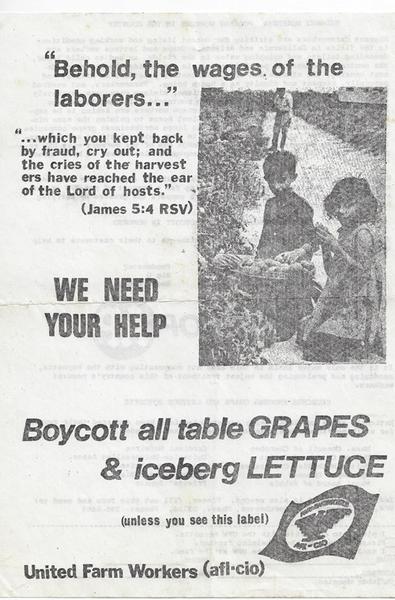 United Farm Workers (AFL-CIO_)