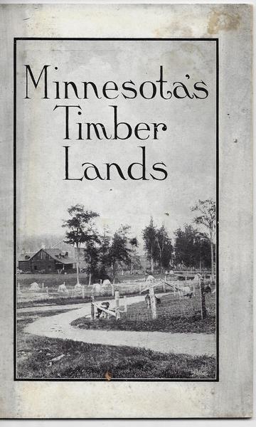 Minnesota's Timber Lands