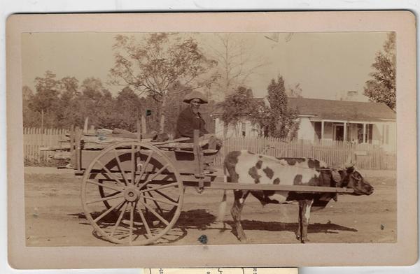 A. W. MOLLER PHOTOS – THOMASVILLE, GEORGIA