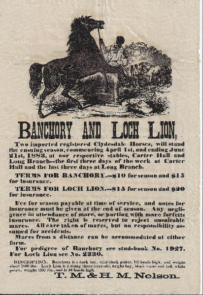 Banchory and Loch Lion Horse Stud Broadside