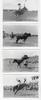 A COLLECTION OF EIGHT DeVERE LIVE RODEO PHOTO POSTCARDS FROM THE 1949 CHEYENNE, WYOMING RODEO.