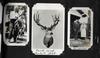 HUNTING EXCURSIONS IN CALIFORNIA, ARIZONA, IDAHO AND TEXAS