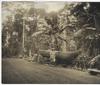 AFRICAN BIG GAME HUNTING SAFARIS OF COLONEL FRANCIS COLBY.
