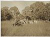 AFRICAN BIG GAME HUNTING SAFARIS OF COLONEL FRANCIS COLBY.
