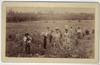 A. W. MOLLER PHOTOS – THOMASVILLE, GEORGIA