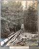 Forest Supervisor's Photo Album - 1909