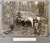 Forest Supervisor's Photo Album - 1909