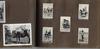 Yellowstone Dude Ranch Photo Album - 1916